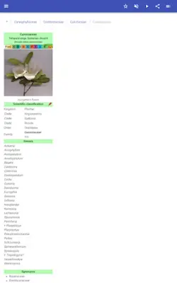 Botanical families android App screenshot 0