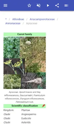 Botanical families android App screenshot 10