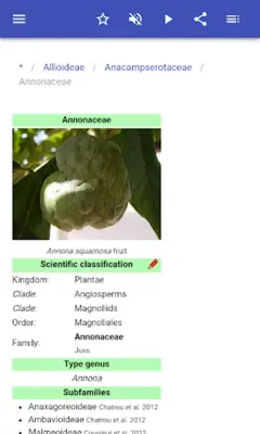 Botanical families android App screenshot 11