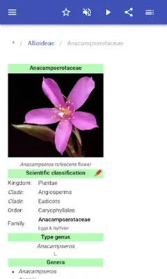 Botanical families android App screenshot 12