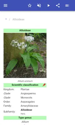 Botanical families android App screenshot 13