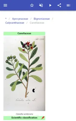 Botanical families android App screenshot 5