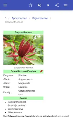 Botanical families android App screenshot 6