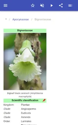 Botanical families android App screenshot 7